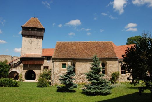 kelnek